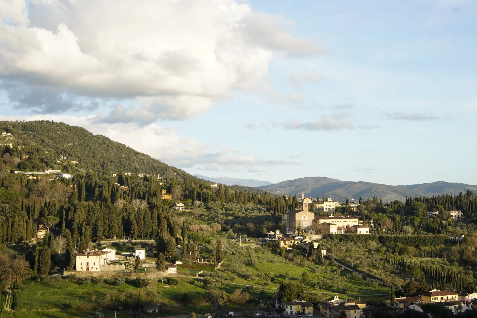 Villas and olive groves on the Fiesole hillside