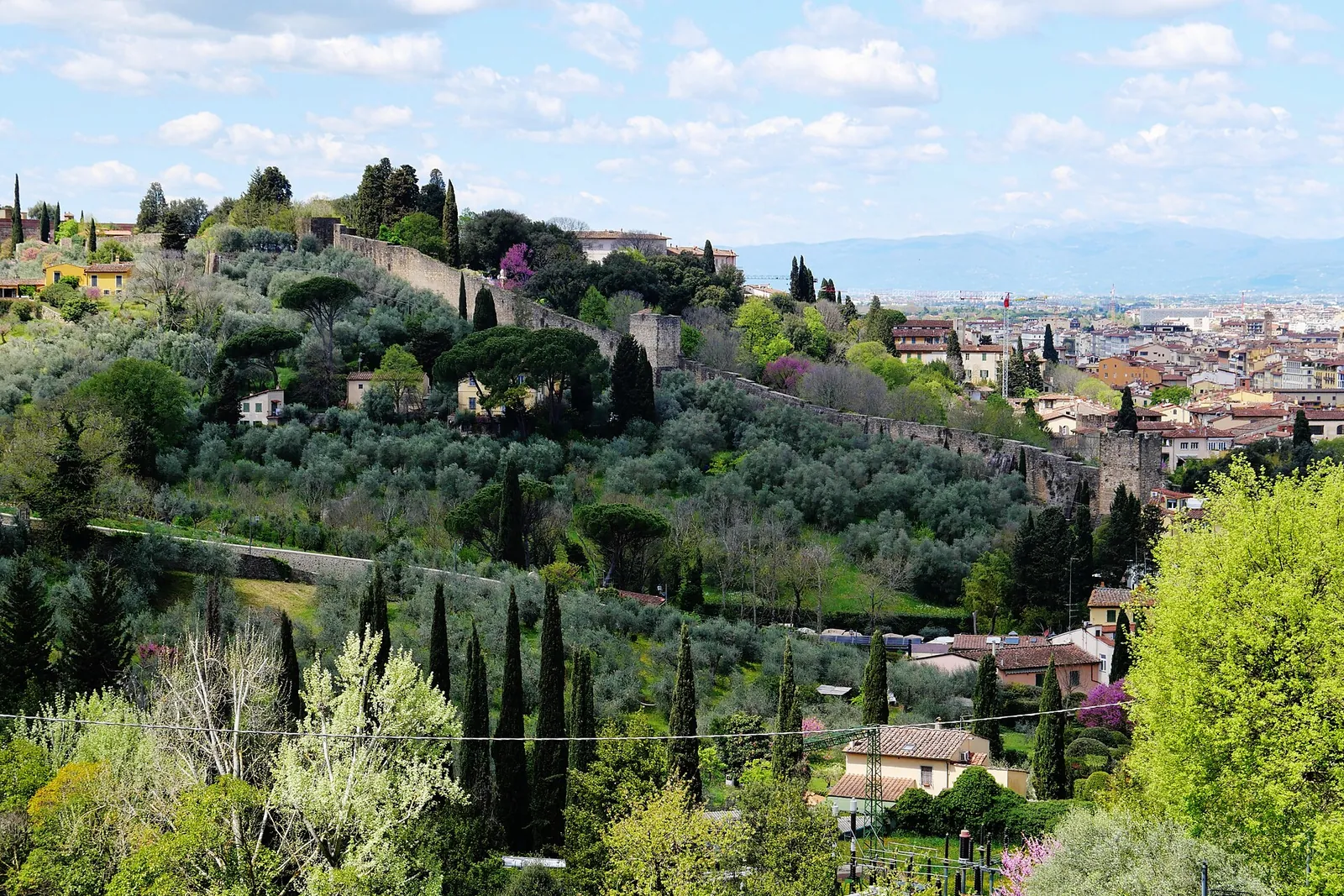 The view over Florence from the Rose Garden