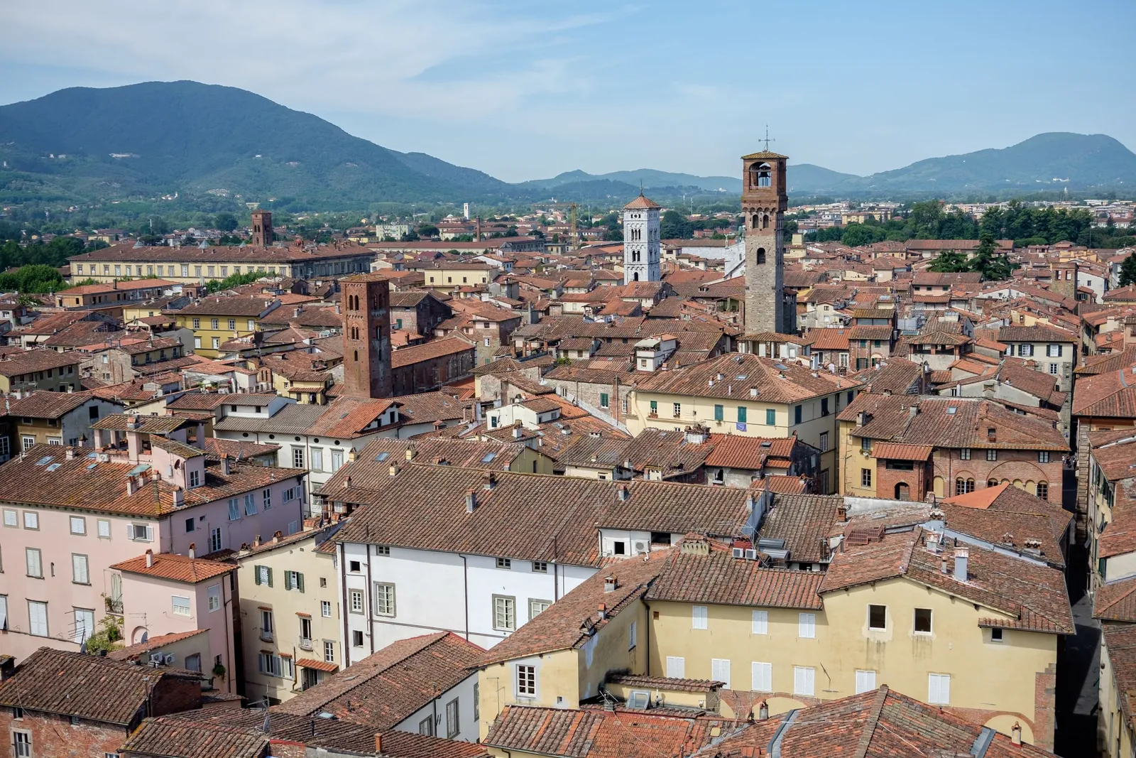 Lucca's rooftops and towers