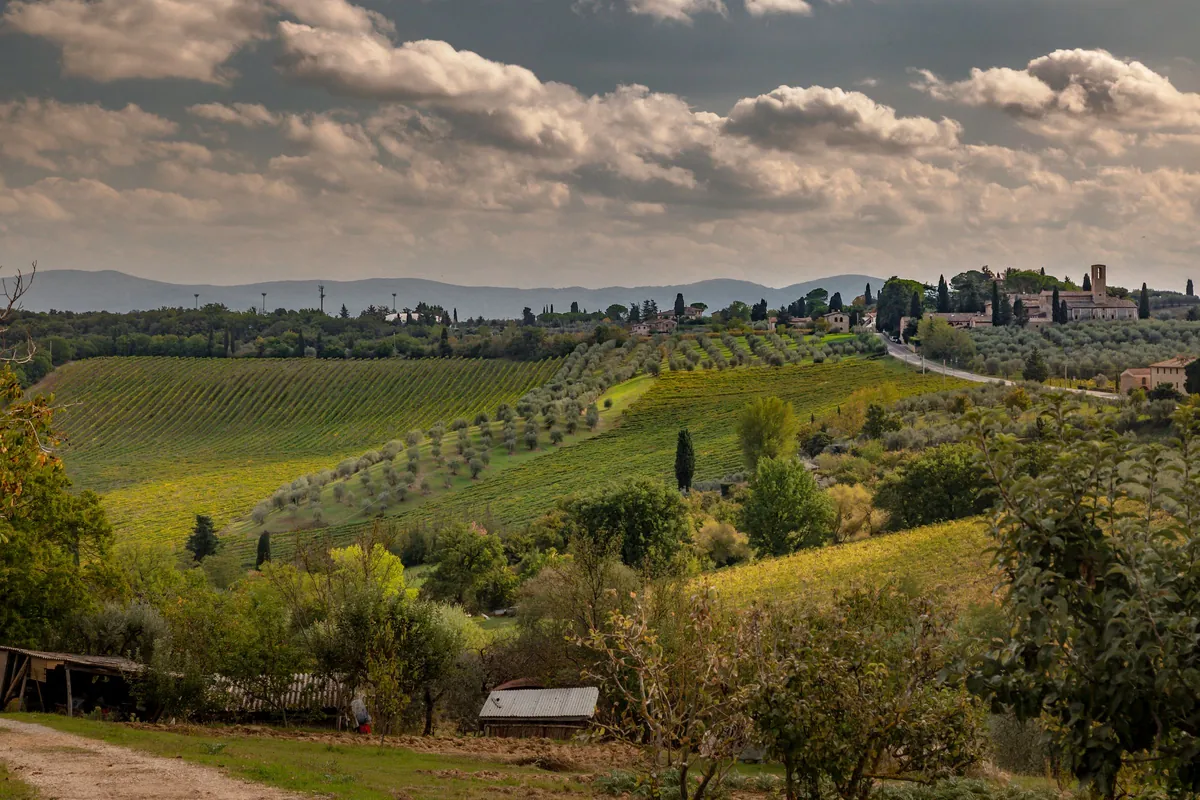 Florence in Autumn: Harvest, New Oil and Thinner Crowds